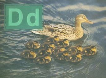 Buy Phonic Readers Plus Level Dd: Student Reader (Steck-vaughn Phonic ...