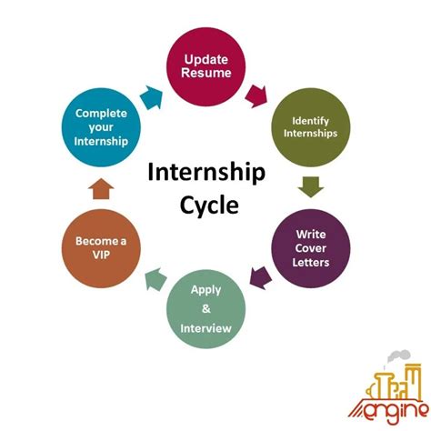 Internship Cycle Explained
