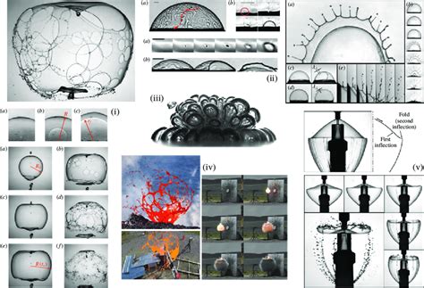 Image result for Fragmentation Shell