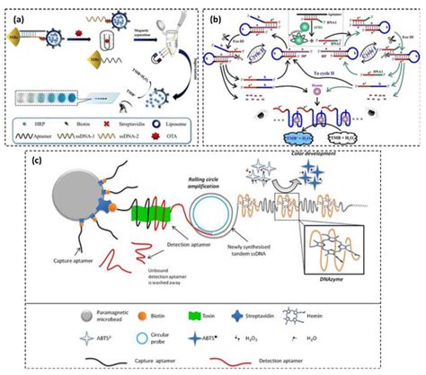 Advances in Colorimetric Strategies for Mycotoxins Detection: Toward ...