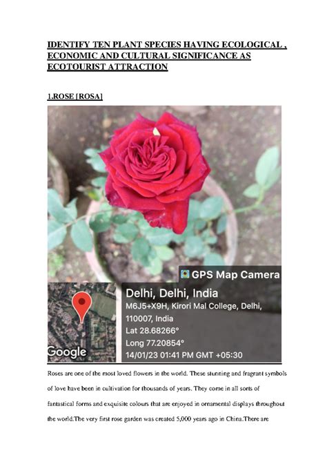 Identifying 10 Plant Species with Ecological, Economic & Cultural ...