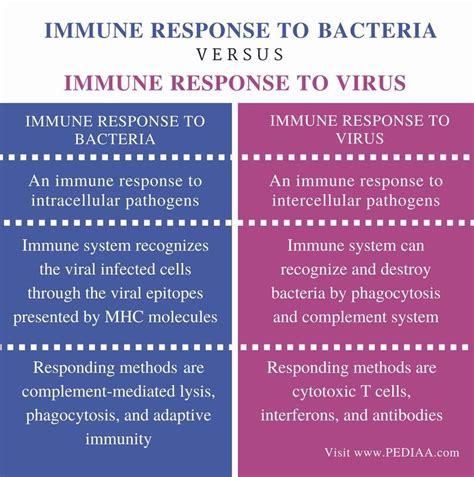 Describe the differences between the bacterial vs. Viral infection ...