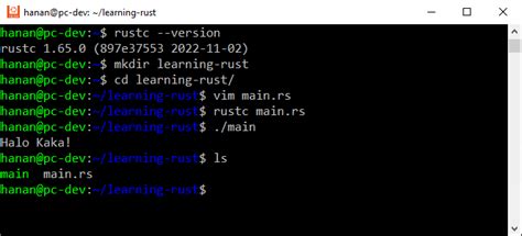 Image result for Visual Studio Rust Install