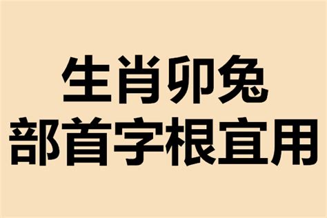 干货分享：生肖兔宜用部首字根（起名第二步）