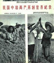 1959-1961年中国自然灾害灾情报告 - 哔哩哔哩