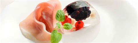 Wiberg fonksiyonel urunleri | GOURMET VERSAND Online Magaza