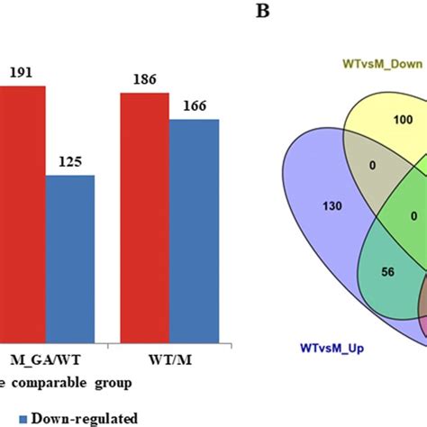 Dynamic Cellular Localization Chart 的图像结果