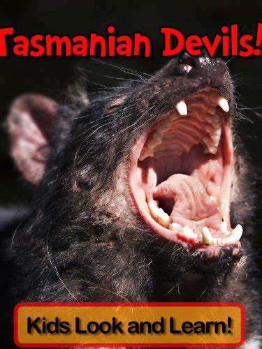 Tasmanian Devils! Learn About Tasmanian Devils and Enjoy Colorful ...