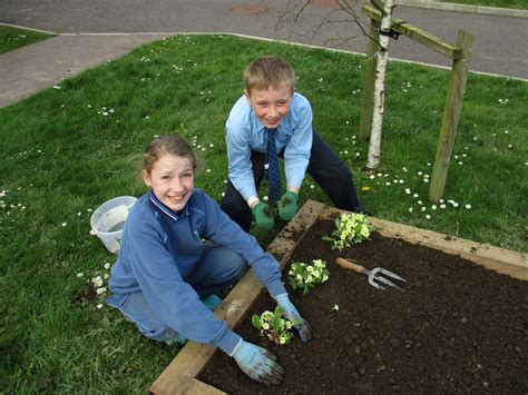 Image result for 4th Class