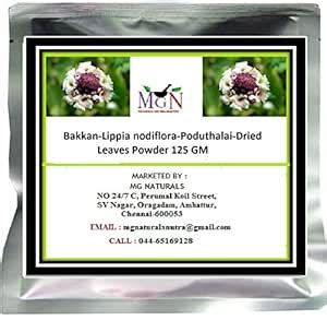 Bakkan-Lippia nodiflora-Poduthalai-Dried Leaves Powder 125 GM : Amazon ...