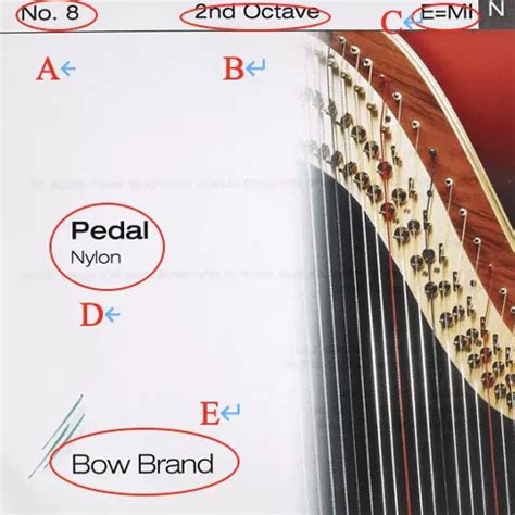 Rezultat imagine pentru Harp String Types