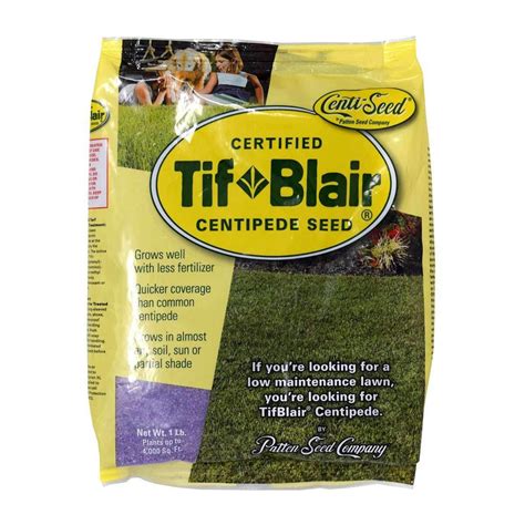 Centipede Grass Seed | Low Maintenance Lawn Grass | Hancock Seed ...