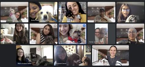 Viva - Executive Assistants Office Photos