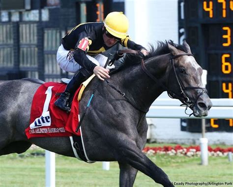 The Shadwell Turf Mile Tipsheet | TwinSpires