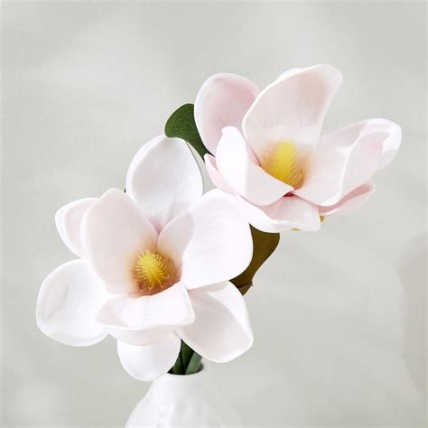 Buy Lets Garden Hedge Artificial Orchid Flowers in Ceramic Vase from ...