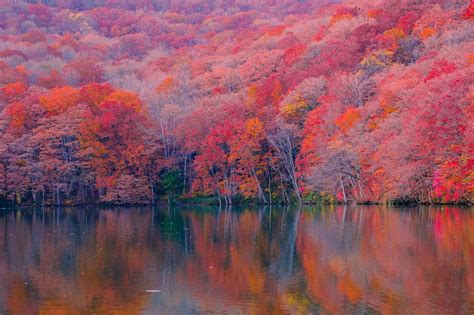 Image result for CSS Home Effect Code