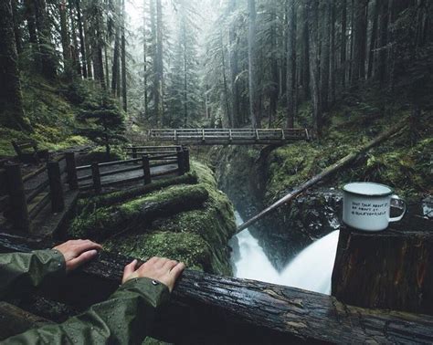 Person In A Forest By A Waterfall With A Mug, Hd Wallpaper | Rare Gallery