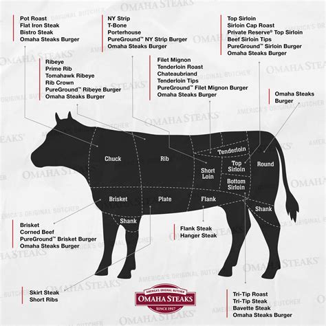 Steak Cuts Explained: Explore the Ultimate Steak Cut Guide