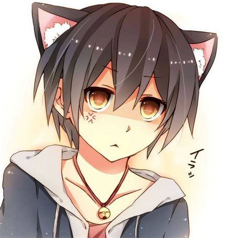 Cute Anime Cat Boy Wallpapers - Top Free Cute Anime Cat Boy Backgrounds ...