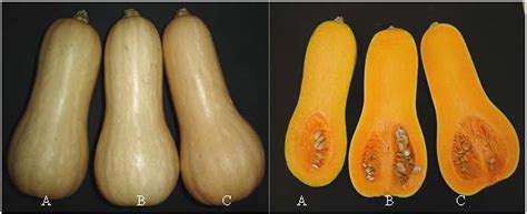 α-Carotene and β-Carotene Content in Raw and Cooked Pulp of Three ...