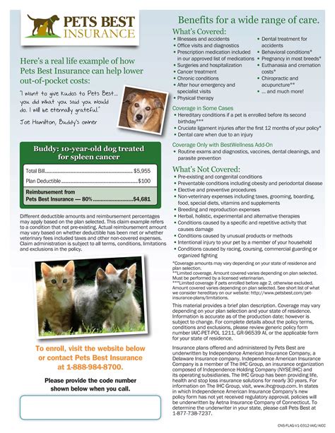 Pet Insurance Flyer | PDF