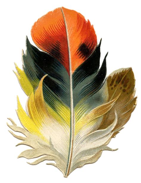 Antique Clip Art - Fabulous Feather - Autumn Tones - The Graphics Fairy