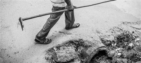 Drawing From Nature: The Story of Bandicoot, a Robot That Clears ...