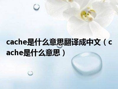 cache是什么意思翻译成中文（cache是什么意思）_一天资讯网