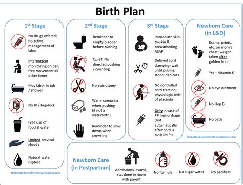 New birth plan template – Artofit