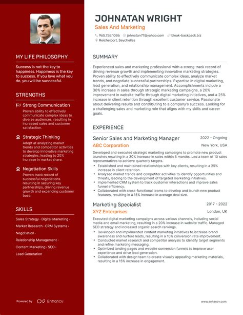 3 Successful Sales And Marketing Resume Examples And Writing Tips for 2024