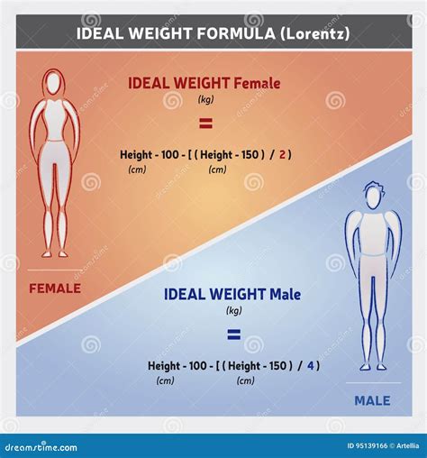 Ideal Weight Formula Illustration With Female And Male Silhouettes Cartoon Vector ...