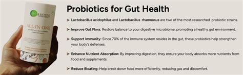Buy Gut and Beyond All-in-One Gummies 60 Count | Probiotics ...