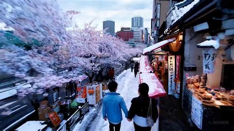 Open Ai Sora 的图像结果