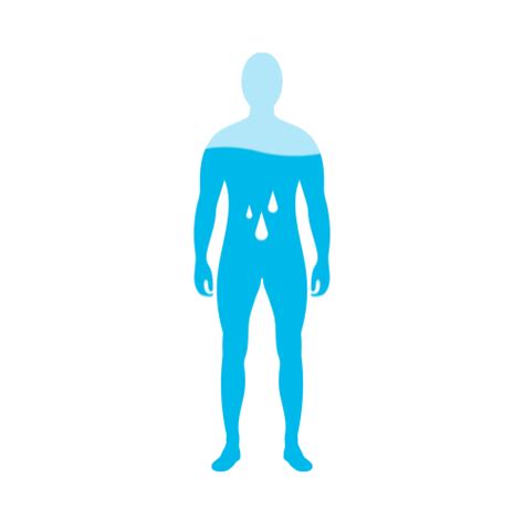 Body Blueprint