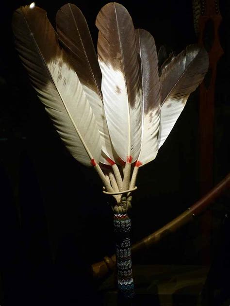 Feathers: A Sacred Symbol in Native American Culture