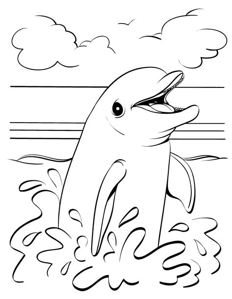 Dolphin Coloring Pages Printable - UK Printable Hub