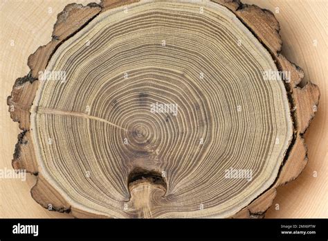 Cross Section Geometry 的图像结果