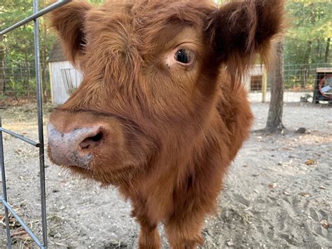 N.J. Assoc. Highlights Farm at Campground in Mag Article - Woodall's ...