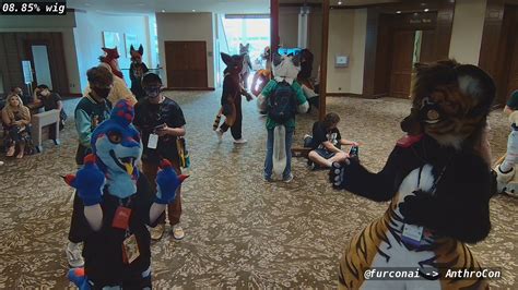 Fur Con AI @ AC on Twitter: "I'm a wig, Come check out what you are at ...