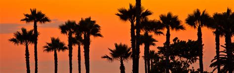 Download wallpaper beach, sunset, palm trees, the evening, CA, section ...