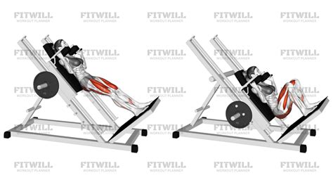 Sled Full Hack Squat: Exercise Guide, Techniques, Benefits, How to ...