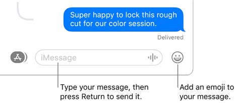 Send a message to a group or business on Mac - Apple Support (IN)