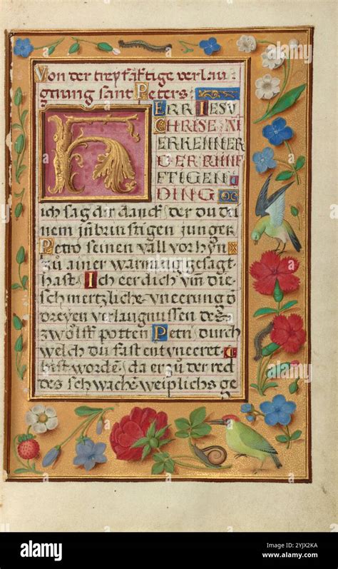 Text surrounds hi-res stock photography and images - Alamy