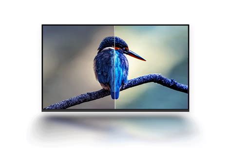 Buy Lenovo L24i-4A 24 inch (60.45cm) FHD IPS 100Hz Monitor at Best ...