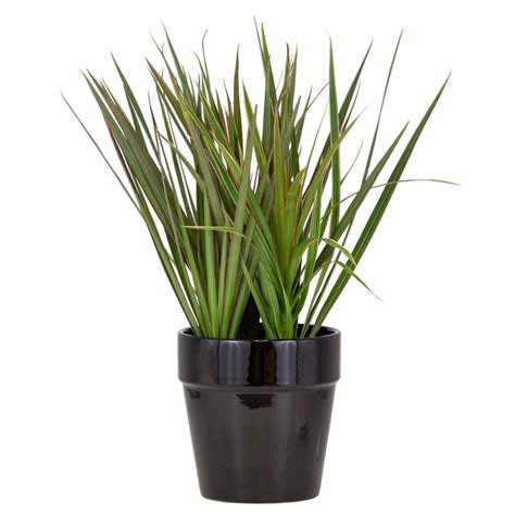 Trendspot Round 6.7-in W x 6.85-in H Black Ceramic Indoor Planter in ...