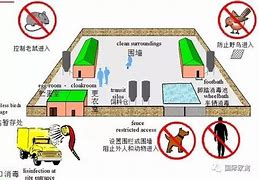 Image result for biosecurity 生物安全性