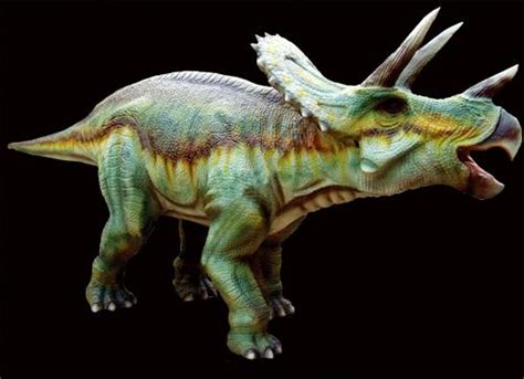 三角龙：北美洲大型恐龙（长8米/最强食草恐龙之一）_探秘志