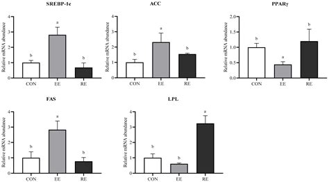 Excessive Effects of Extreme Energy Levels on Lipid Metabolism in ...