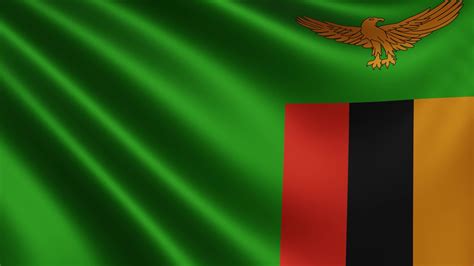 The Zambian flag flutters in the wind close-up, the national flag of Zambia 39856172 Stock Video ...