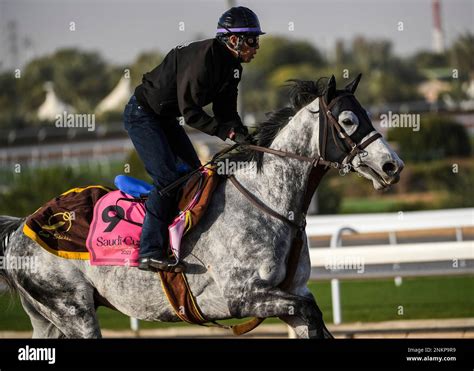 Imagination Guts It Out in the Riyadh Dirt Sprint